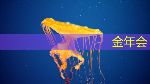 山东智能物流仓储解决方案