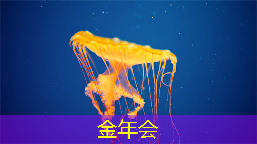 金年会：青浦智慧城市人才落户流程