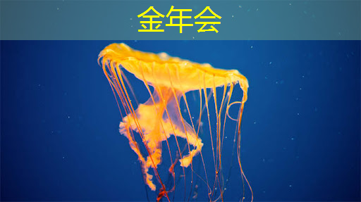 金年会:凤阳智慧化城市运营中心 金年会:凤阳智慧化城市运营中心