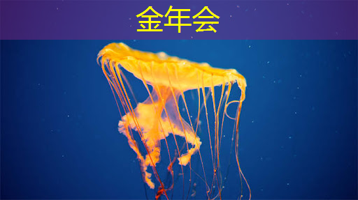 金年会:提高运营效率:智慧商显管理平台助您精细化运营之路 金年会:提高运营效率:智慧商显管理平台助您精细化运营之路