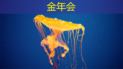 金年会:“平头哥”发布了第一颗实体芯片!这个招惹不起的存在,实锤在此 金年会:“平头哥”发布了第一颗实体芯片!这个招惹不起的存在,实锤在此