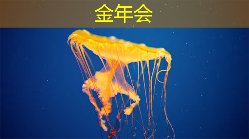 金年会:电源管理芯片:如何选择与应用 金年会:电源管理芯片:如何选择与应用