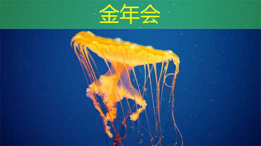 金年会:云豹智能产品应用负责人安东尼:云原生DPU芯片的创新与应用|直播预告 金年会:云豹智能产品应用负责人安东尼:云原生DPU芯片的创新与应用|直播预告