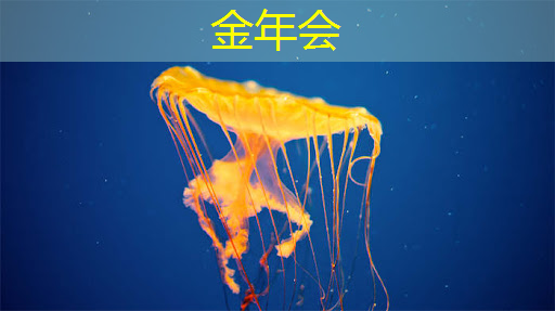金年会:人工智能的热度被我们芯片行业蹭到了! 金年会:人工智能的热度被我们芯片行业蹭到了!