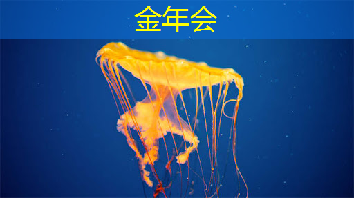 金年会:集成纸基微流芯片传感器的隐形眼镜用于泪液原位分析 金年会:集成纸基微流芯片传感器的隐形眼镜用于泪液原位分析