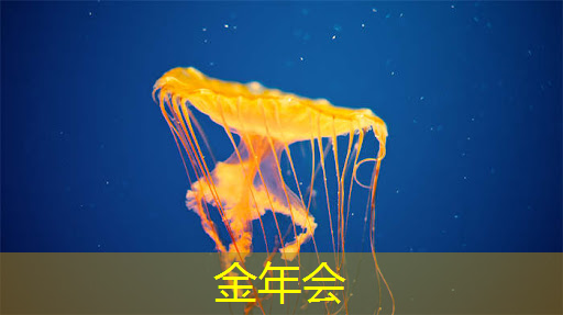 金年会:射频芯片和普通芯片的不同之处在哪? 金年会:射频芯片和普通芯片的不同之处在哪?