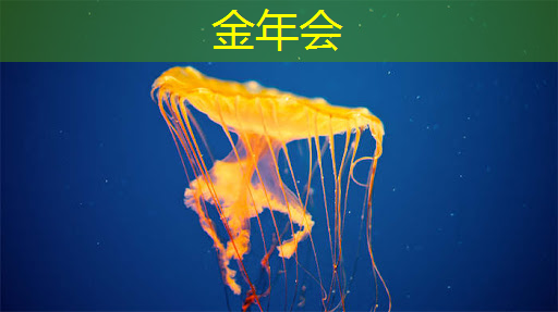 金年会：一文读懂芯片设计全流程