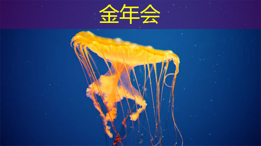 金年会:重磅!中国首条光芯片中试线量产,引领全球芯片产业变革 金年会:重磅!中国首条光芯片中试线量产,引领全球芯片产业变革