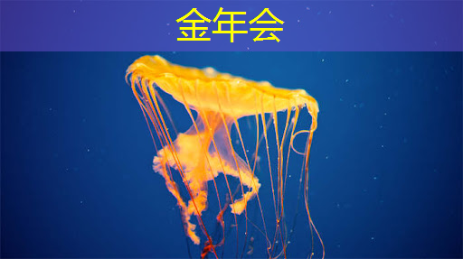金年会:公开课预告:一芯多屏趋势下,智能座舱芯片的创新与应用 金年会:公开课预告:一芯多屏趋势下,智能座舱芯片的创新与应用