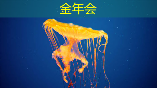 金年会:云豹智能产品应用负责人安东尼:云原生DPU芯片的创新与应用|直播预告 金年会:云豹智能产品应用负责人安东尼:云原生DPU芯片的创新与应用|直播预告