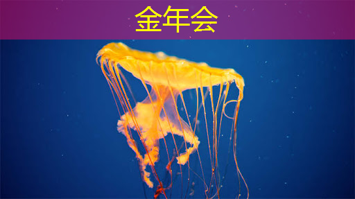 金年会:语音AI芯片在智能家居不同场景如何应用?杭州国芯AI事业部总经理凌云周四讲解! 金年会:语音AI芯片在智能家居不同场景如何应用?杭州国芯AI事业部总经理凌云周四讲解!