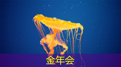 金年会:华为发布鸿蒙智行首款全景智慧旗舰SUV问界M9;消息称特斯拉将成为台积电2024年3nm新芯片设计定案客户丨智能制造日报 金年会:华为发布鸿蒙智行首款全景智慧旗舰SUV问界M9;消息称特斯拉将成为台积电2024年3nm新芯片设计定案客户丨智能制造日报