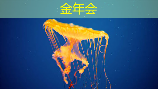 金年会：芯片产业的发展面临着多方面的挑战和困难