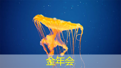 金年会：端到端AI加速只需单芯片？AMD二代Versal自适应SoC带来边缘新突破