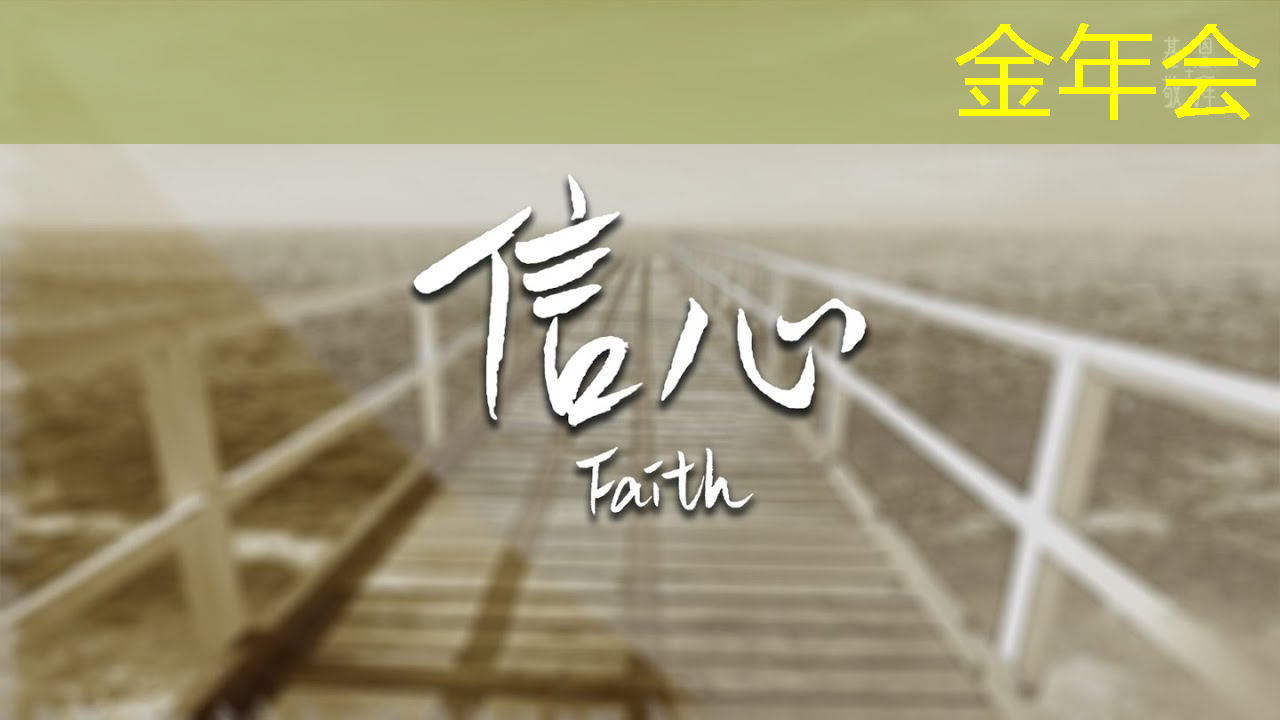 ASIC芯片+AI智算中心+布局硅光芯片+重组预期，潜力秒杀双成药业，问鼎2024跨年第一龙头