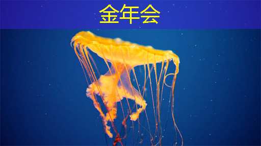 金年会:中国存储芯片王者,华为战略控股,未来超越北方华创 金年会:中国存储芯片王者,华为战略控股,未来超越北方华创
