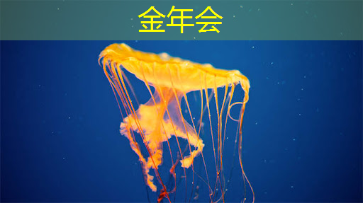 金年会：ASIC芯片王者！垄断45%市场份额，大厂抛弃GPU，下一个常山北明？