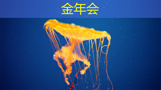 走进东风 | 深入解读智能驾驶的大脑——车规大算力芯片 走进东风 | 深入解读智能驾驶的大脑——车规大算力芯片