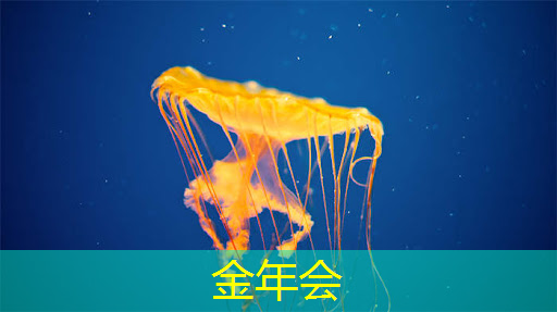 金年会:人工智能的热度被我们芯片行业蹭到了! 金年会:人工智能的热度被我们芯片行业蹭到了!