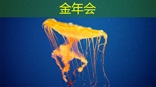 五个用于音视频多媒体内容存储的云服务推荐