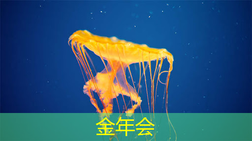 天河区智慧城市数字化怎么用