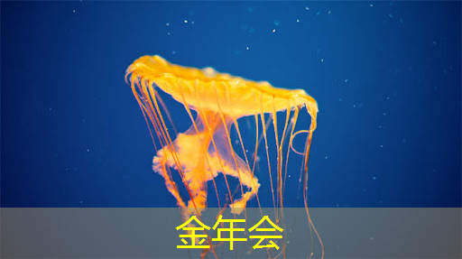 城市数据智慧贵州app