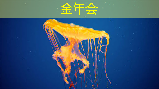 欢聚一堂，手机同屏为您带来难忘时刻！
