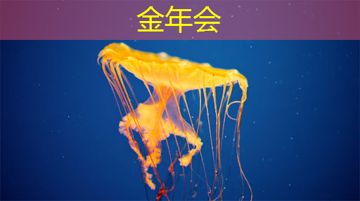 掌上游戏机芯片的发展史:从起步到领先,了解行业演变过程! 掌上游戏机芯片的发展史:从起步到领先,了解行业演变过程!