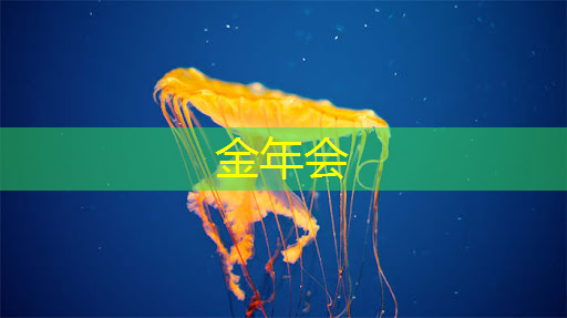 凤阳智慧化城市运营中心 凤阳智慧化城市运营中心