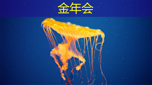 速显微:实现产品二次迭代,争做电子芯片领域革新者 速显微:实现产品二次迭代,争做电子芯片领域革新者