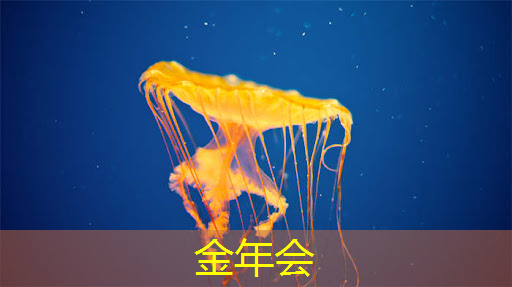 ASIC芯片辉煌篇章!AI芯片领域的新王者,博通的竞争对手,寒武纪的继承者! ASIC芯片辉煌篇章!AI芯片领域的新王者,博通的竞争对手,寒武纪的继承者!